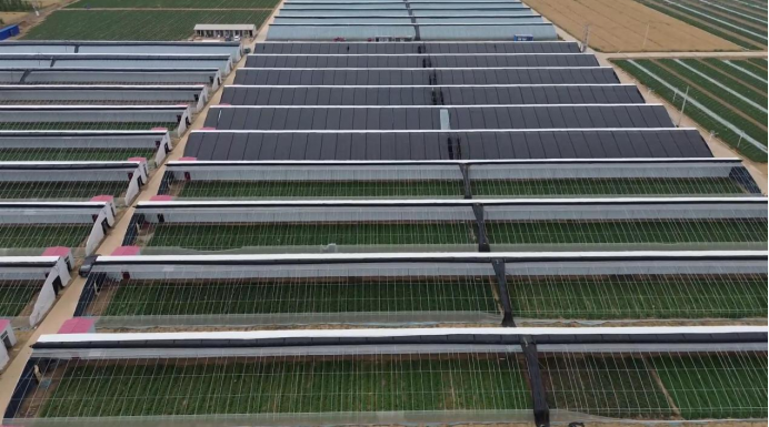 ��ҳ| ����ᡤjnh�й��ٷ���վ