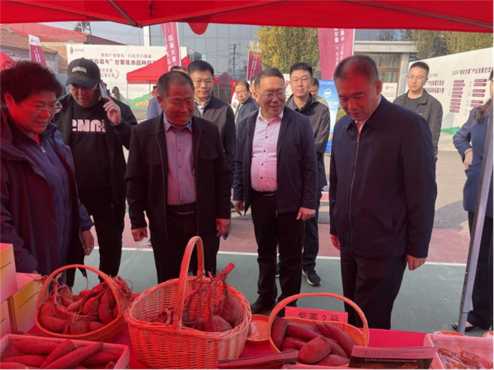 ��ҳ| ����ᡤjnh�й��ٷ���վ