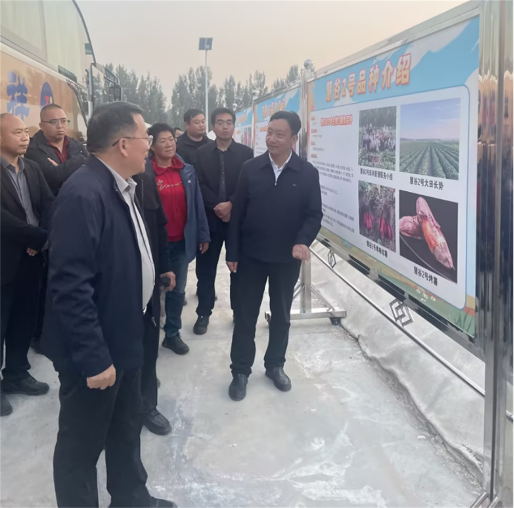 ��ҳ| ����ᡤjnh�й��ٷ���վ