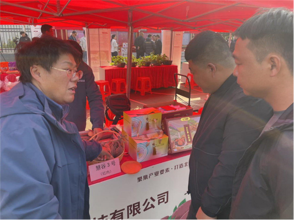 ��ҳ| ����ᡤjnh�й��ٷ���վ