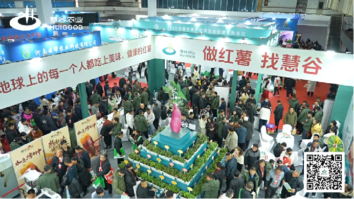 ��ҳ| ����ᡤjnh�й��ٷ���վ