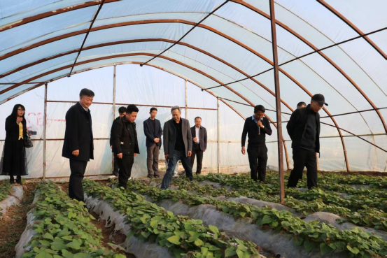 ��ҳ| ����ᡤjnh�й��ٷ���վ