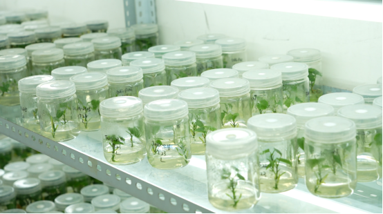 ��ҳ| ����ᡤjnh�й��ٷ���վ