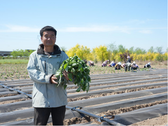 ��ҳ| ����ᡤjnh�й��ٷ���վ