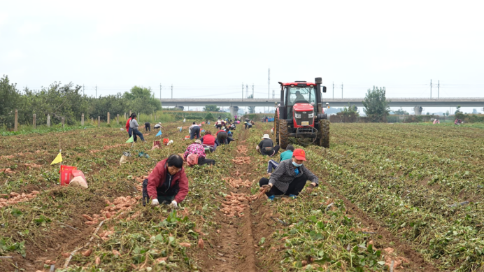 ��ҳ| ����ᡤjnh�й��ٷ���վ