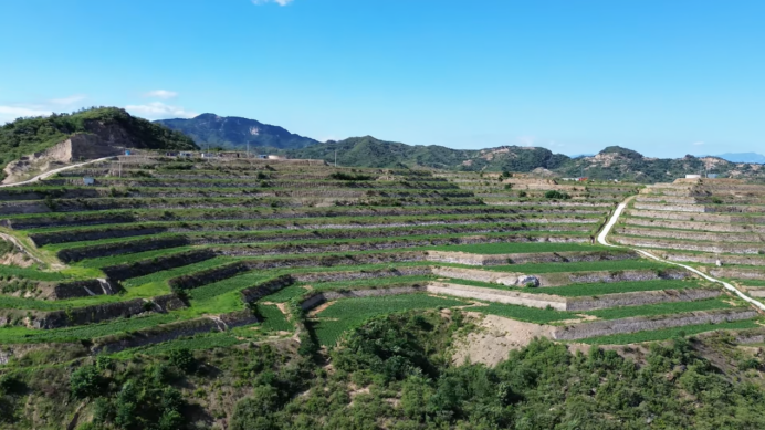 ��ҳ| ����ᡤjnh�й��ٷ���վ