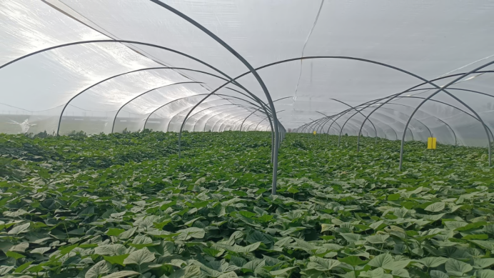 ��ҳ| ����ᡤjnh�й��ٷ���վ