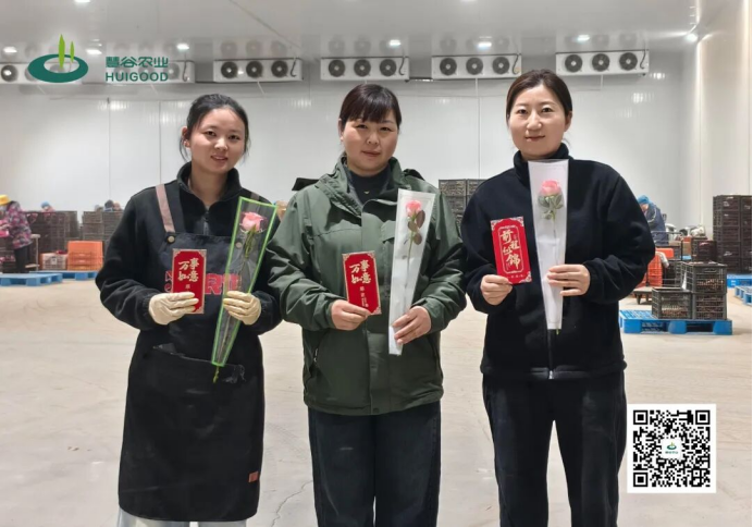 ��ҳ| ����ᡤjnh�й��ٷ���վ