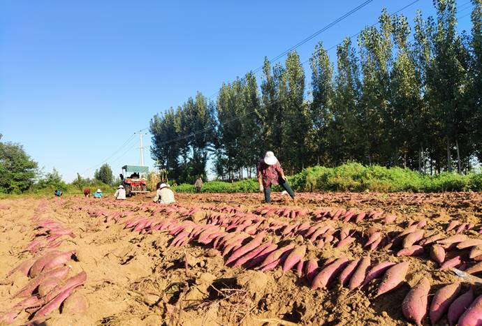 ��ҳ| ����ᡤjnh�й��ٷ���վ