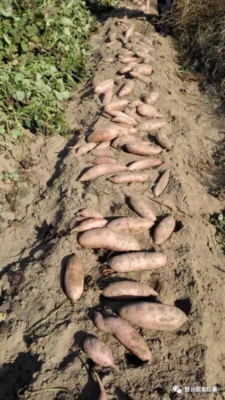 ��ҳ| ����ᡤjnh�й��ٷ���վ