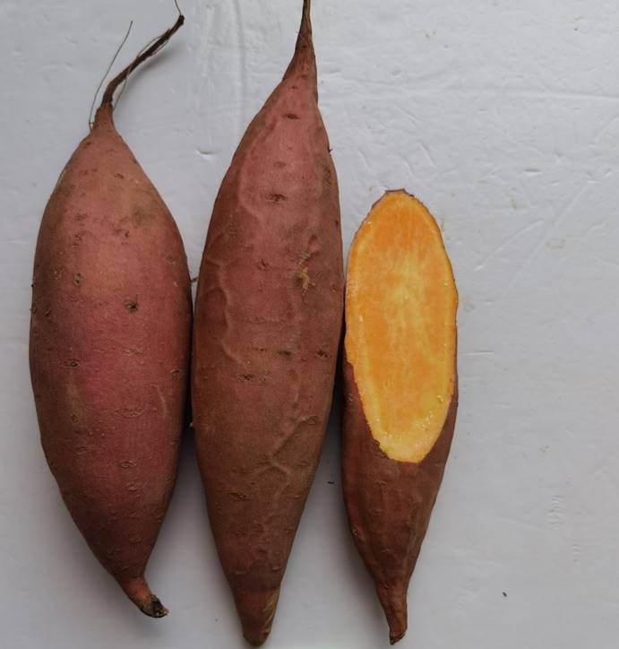 ��ҳ| ����ᡤjnh�й��ٷ���վ