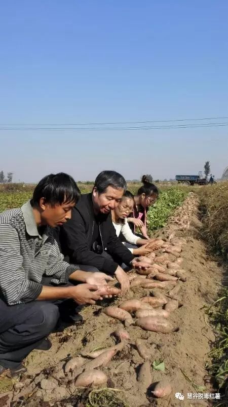 ��ҳ| ����ᡤjnh�й��ٷ���վ