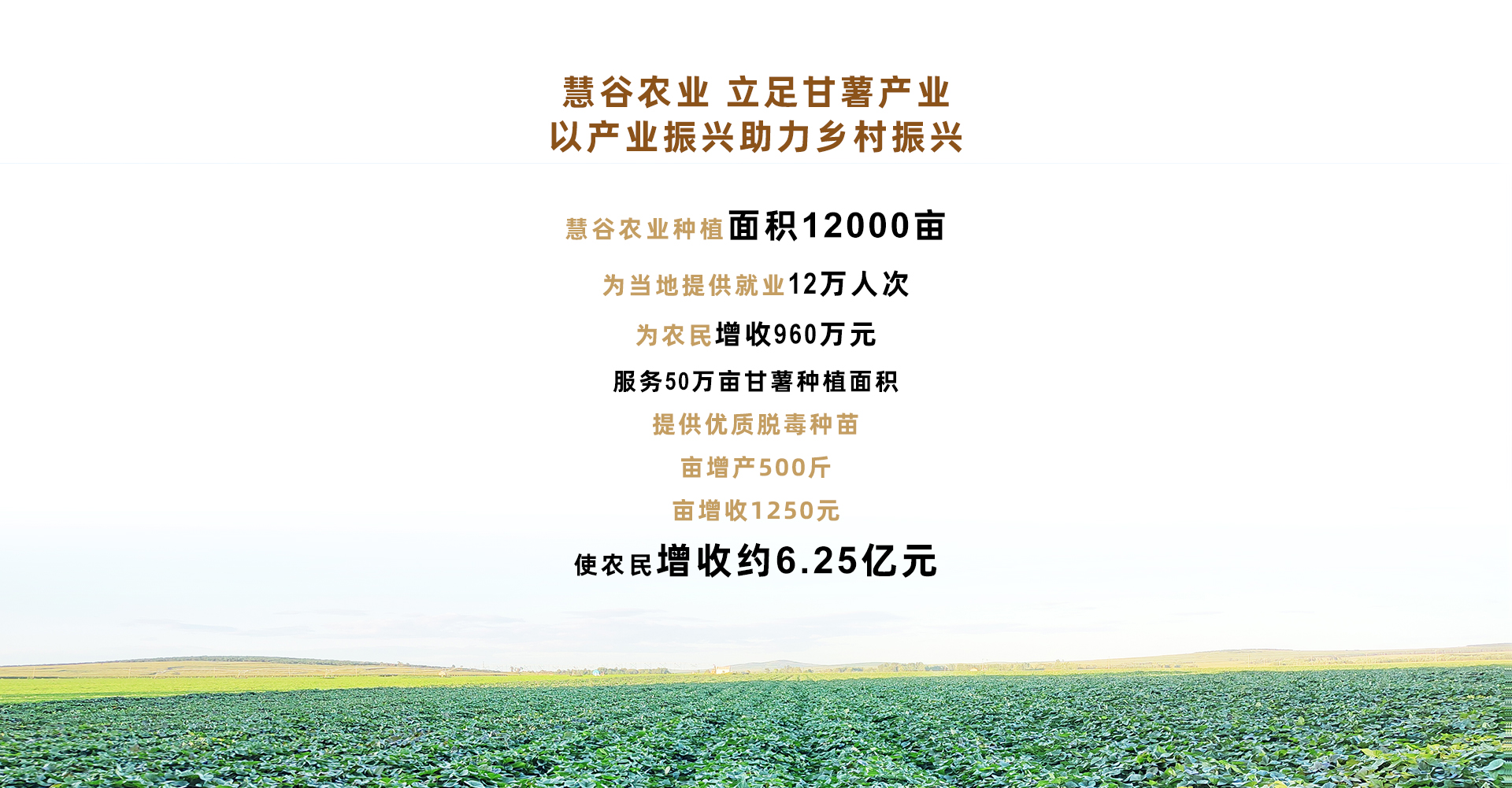 ��ҳ| ����ᡤjnh�й��ٷ���վ